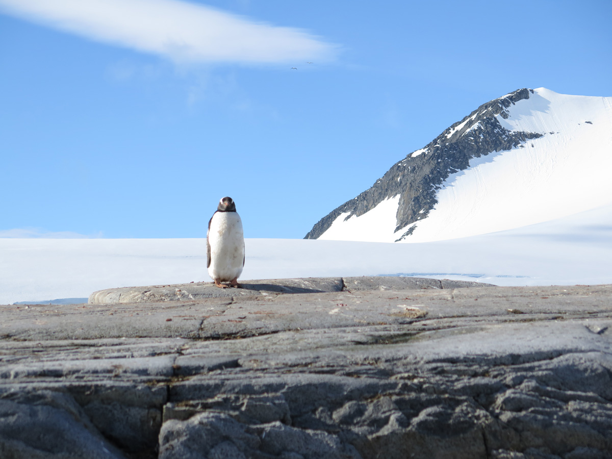 Port Lockroy