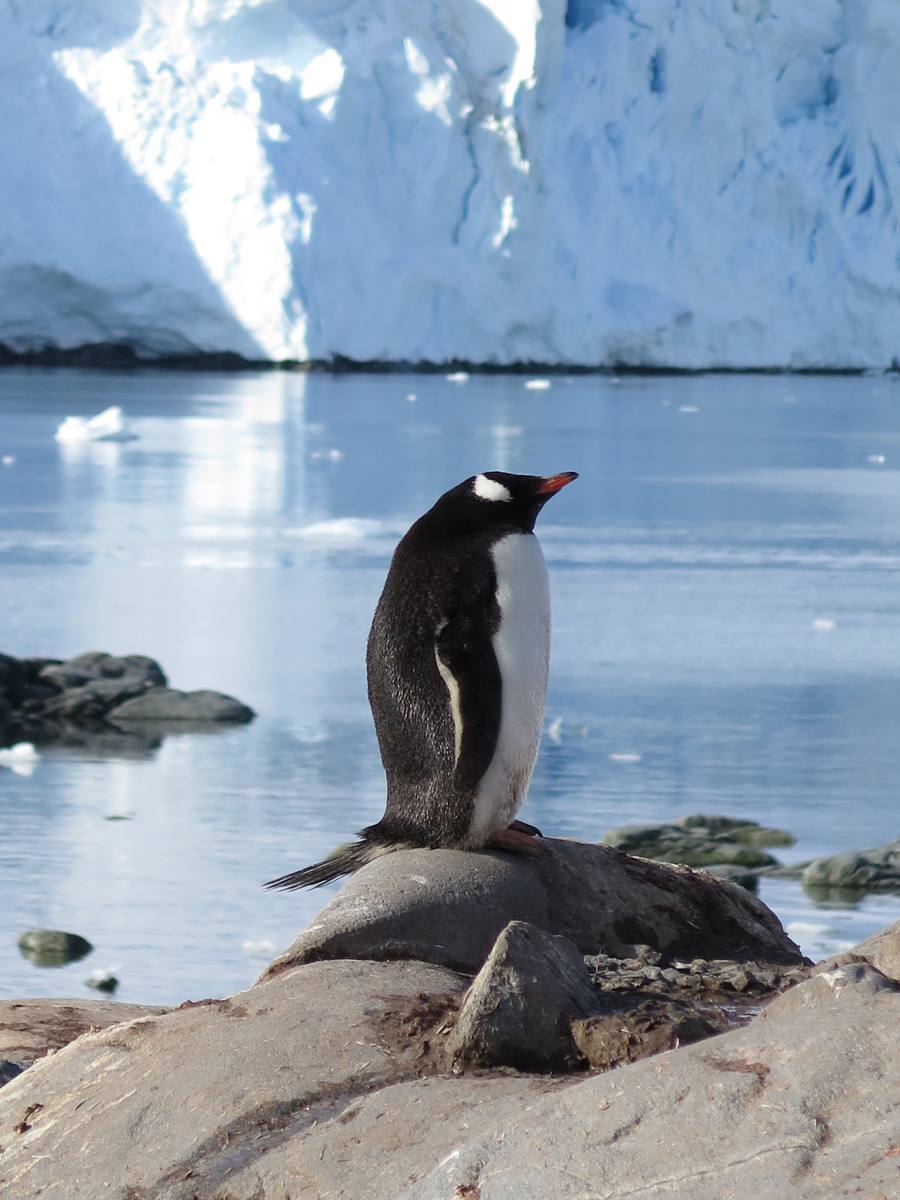 Port Lockroy