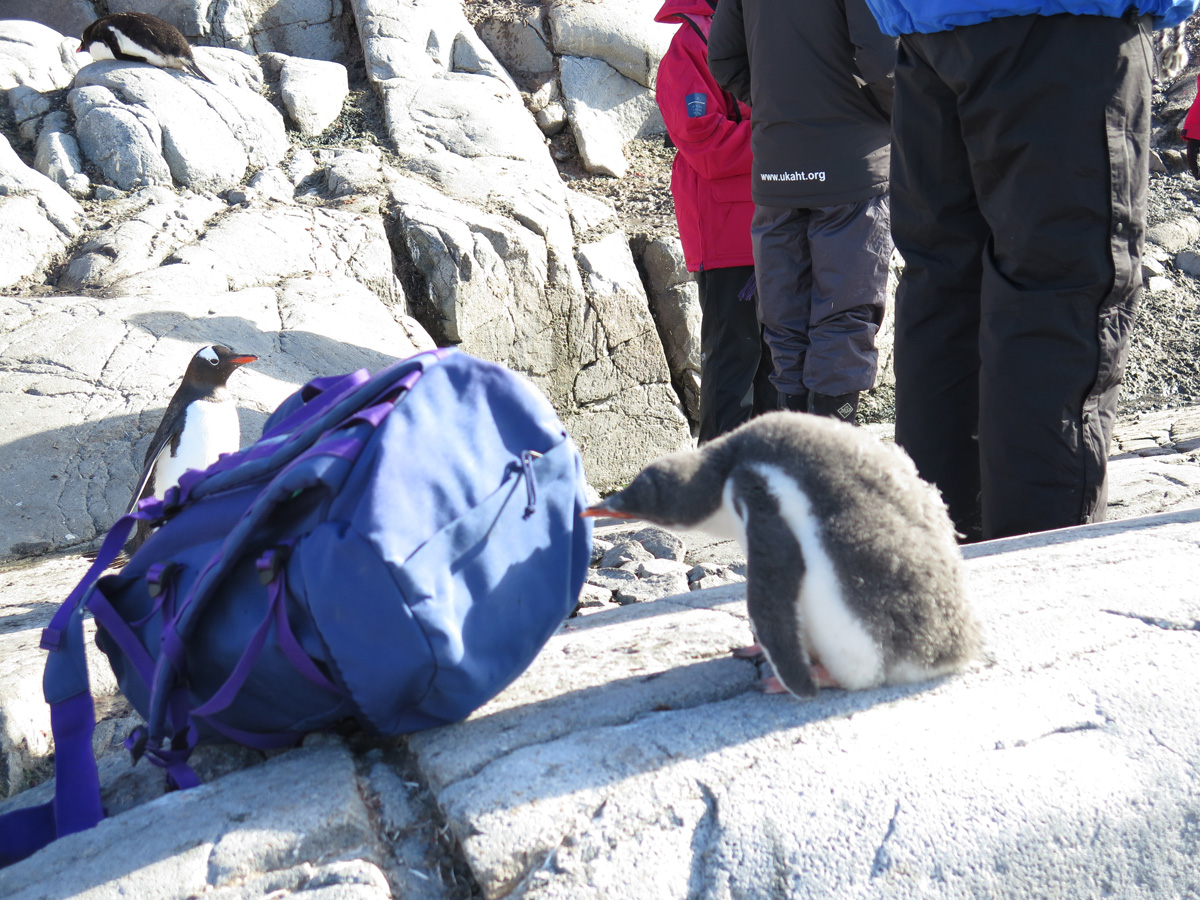Port Lockroy