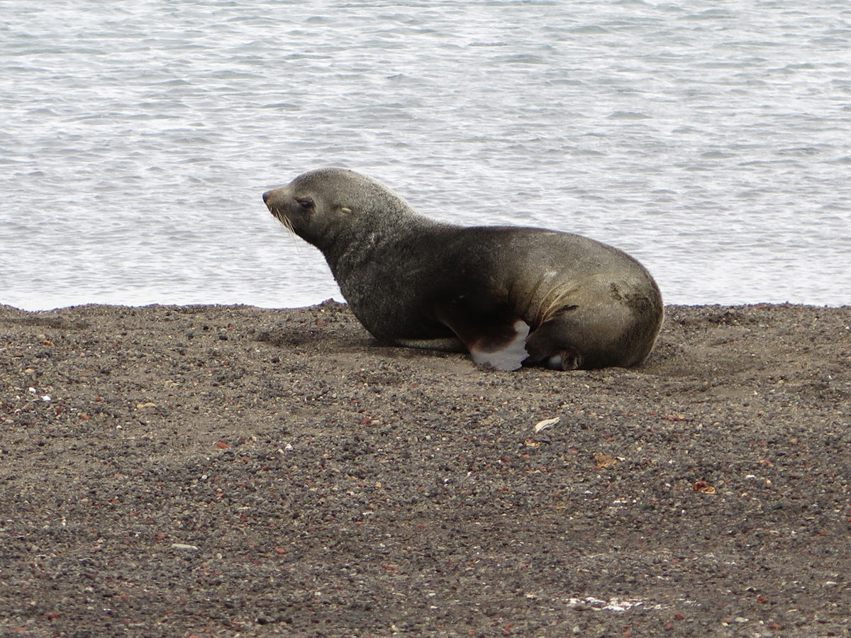Deception Island