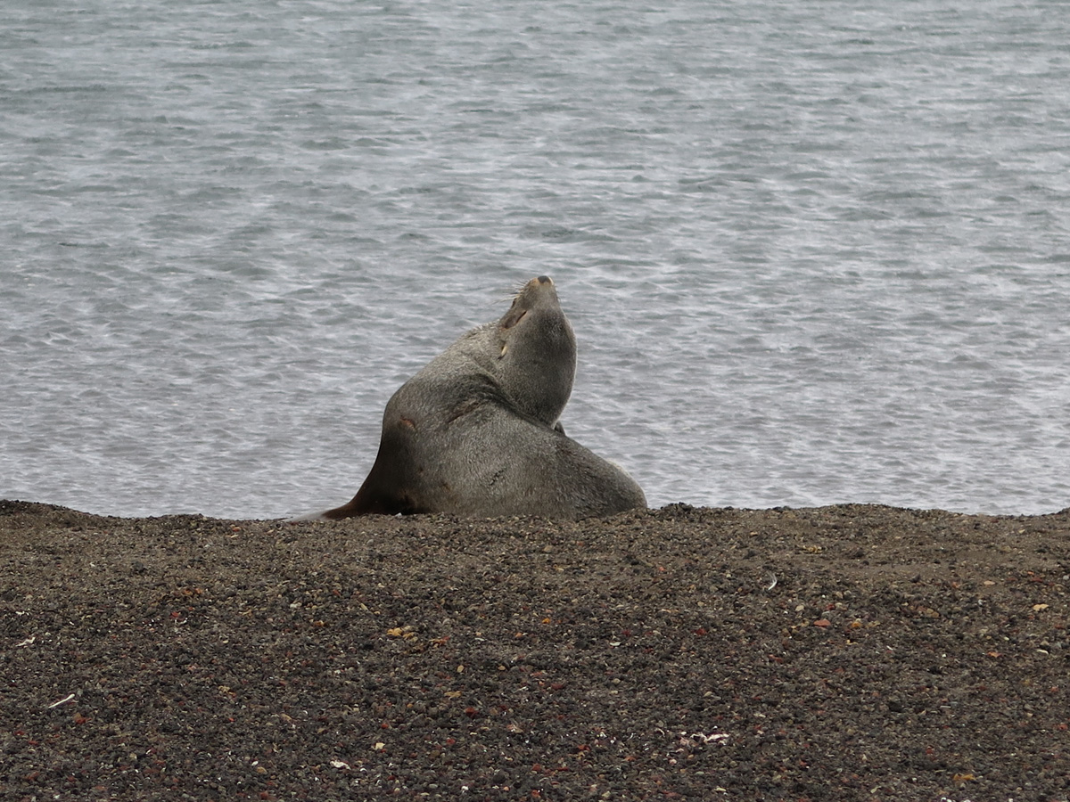 Deception Island