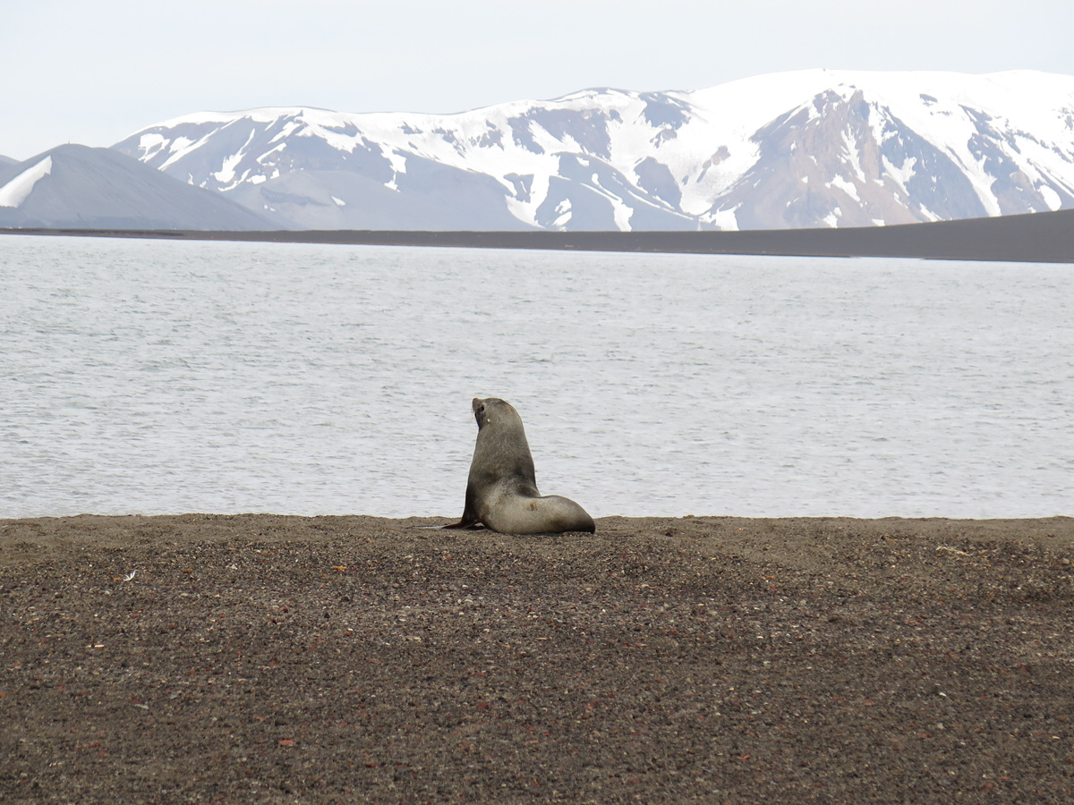 Deception Island