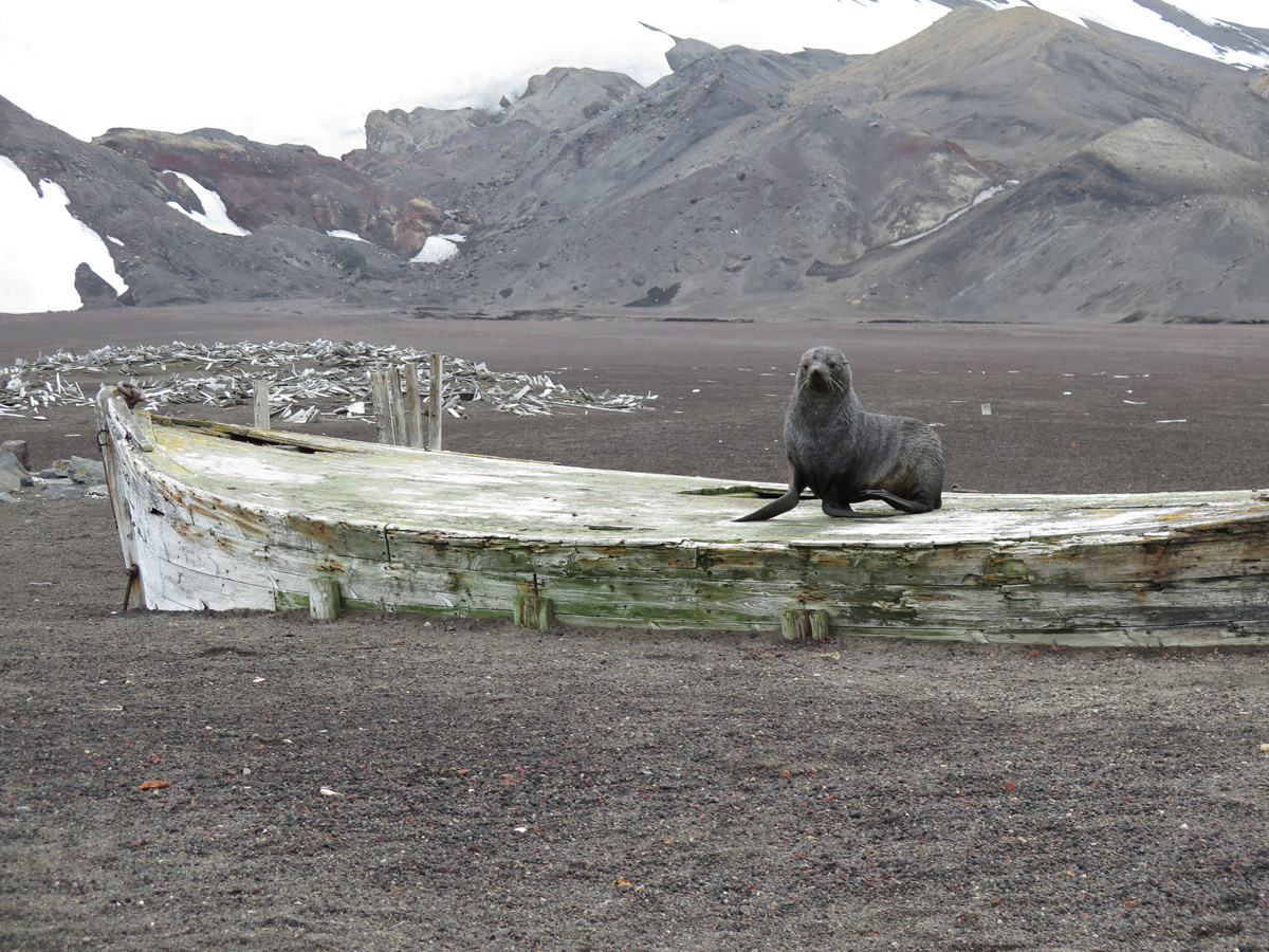 Deception Island