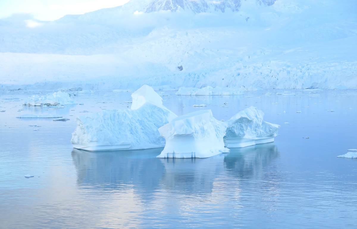 Antarctica: Sea and Ice, 3 miles West of Neko Harbour