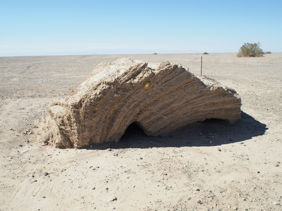 Dunhuang: Yumen Guan, Pile of Reed Fascines (Han era)