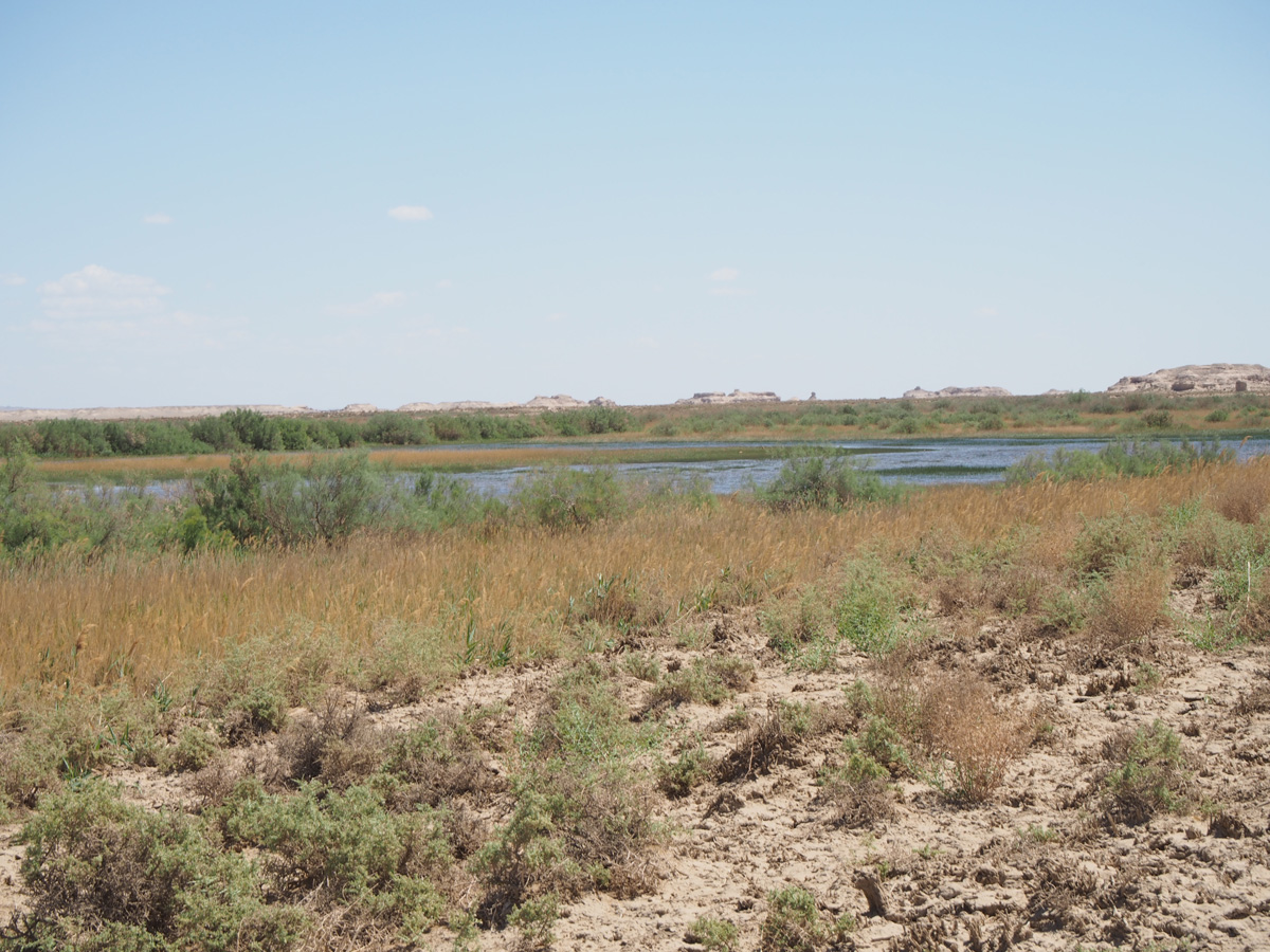 Dunhuang: Yumen Guan, Yumen Guan: Looking to wetlands