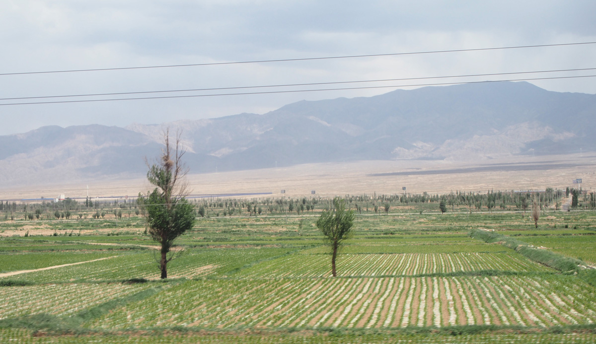 To Xian, 143 miles East of Jiayuguan