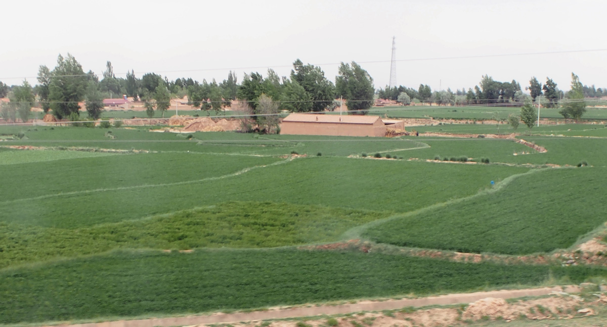 To Xian, 115 miles NW of Lanzhou