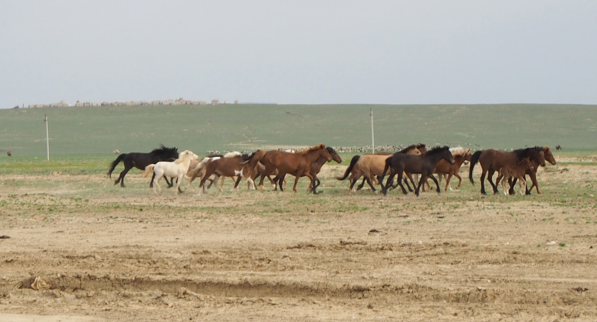 Aral Sea