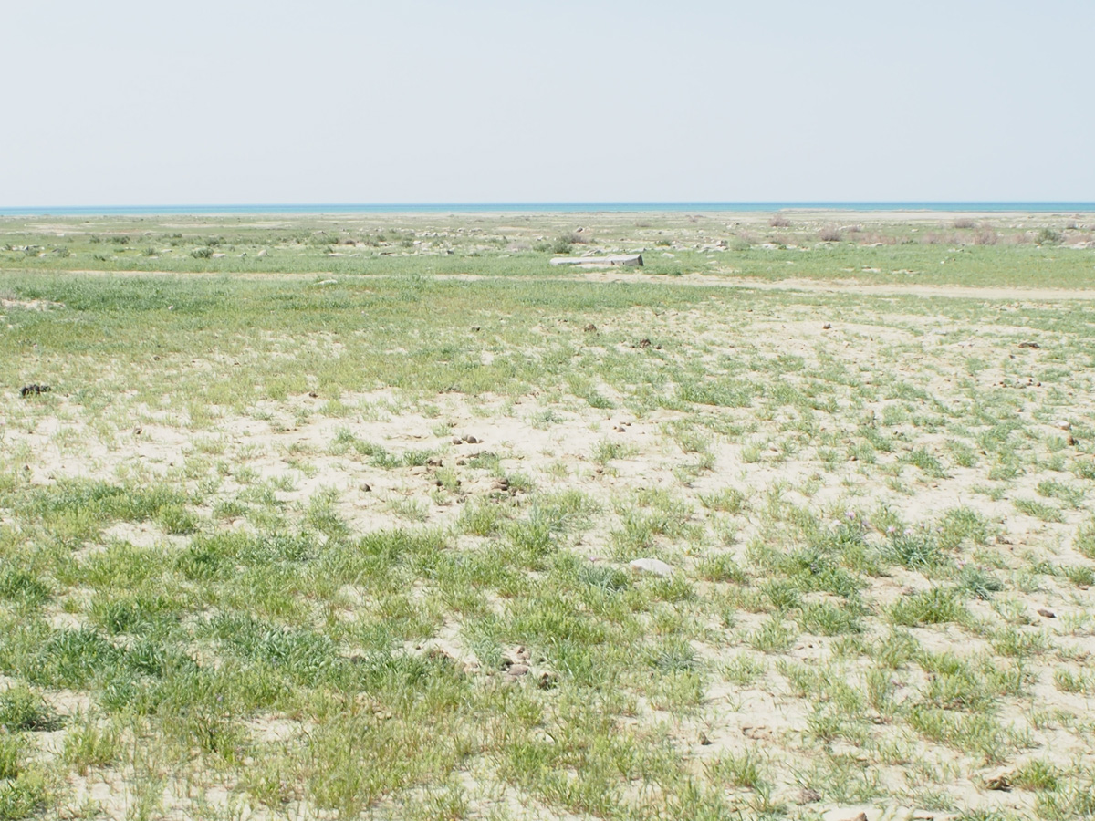 Aral Sea, Dry sea bed