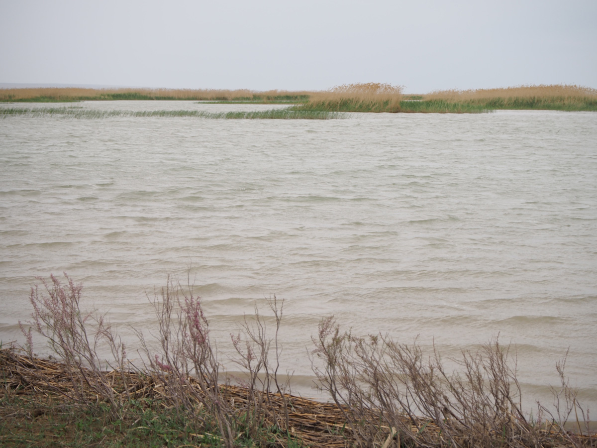Kokaral Dam, Aral Sea, 3 miles East of Kokaral Dam