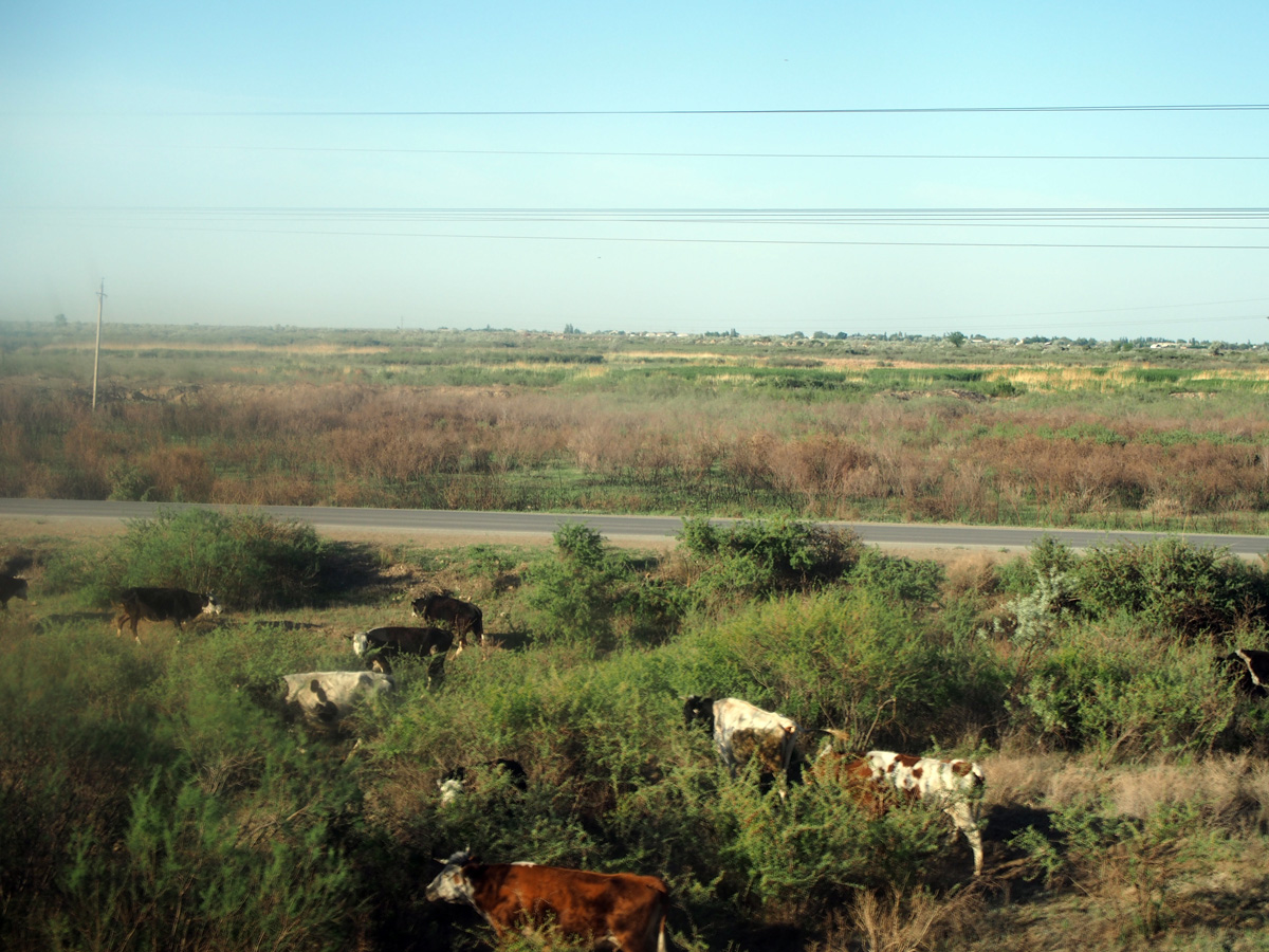Onwards, 202 miles SE of Baikonur