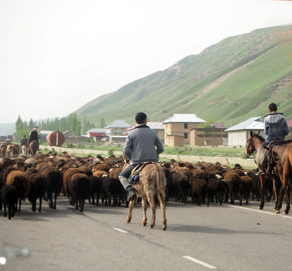 Sary Tash, 13 miles East of Osh