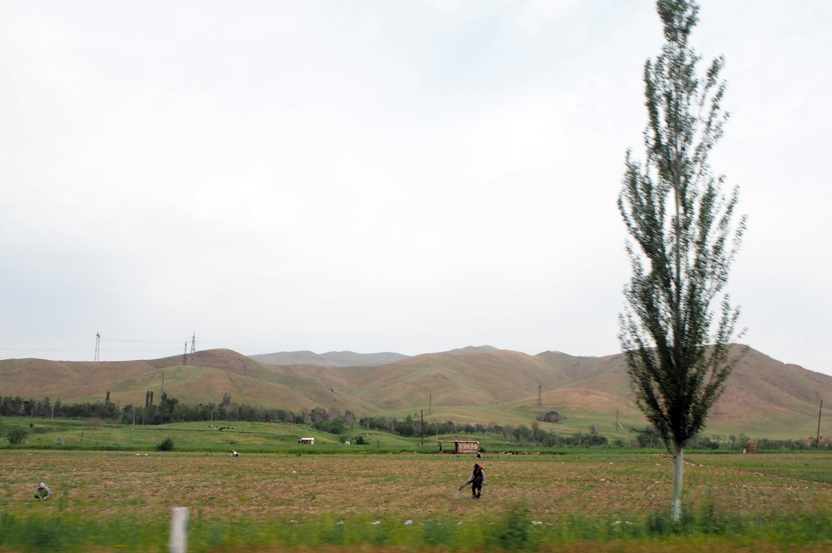Uzbekistan 2015, 41 miles SE of Tashkent