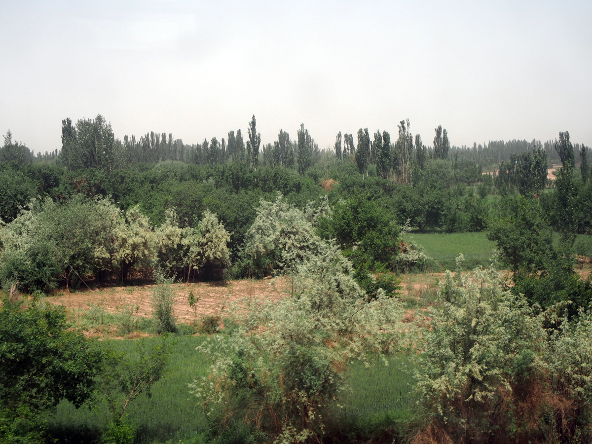 Kuqa, 6 miles NE of Kashgar