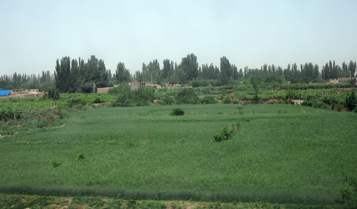 Kuqa, 9 miles NE of Kashgar