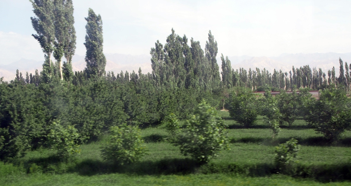 Kuqa, Oasis town, 81 miles East of Kuqa