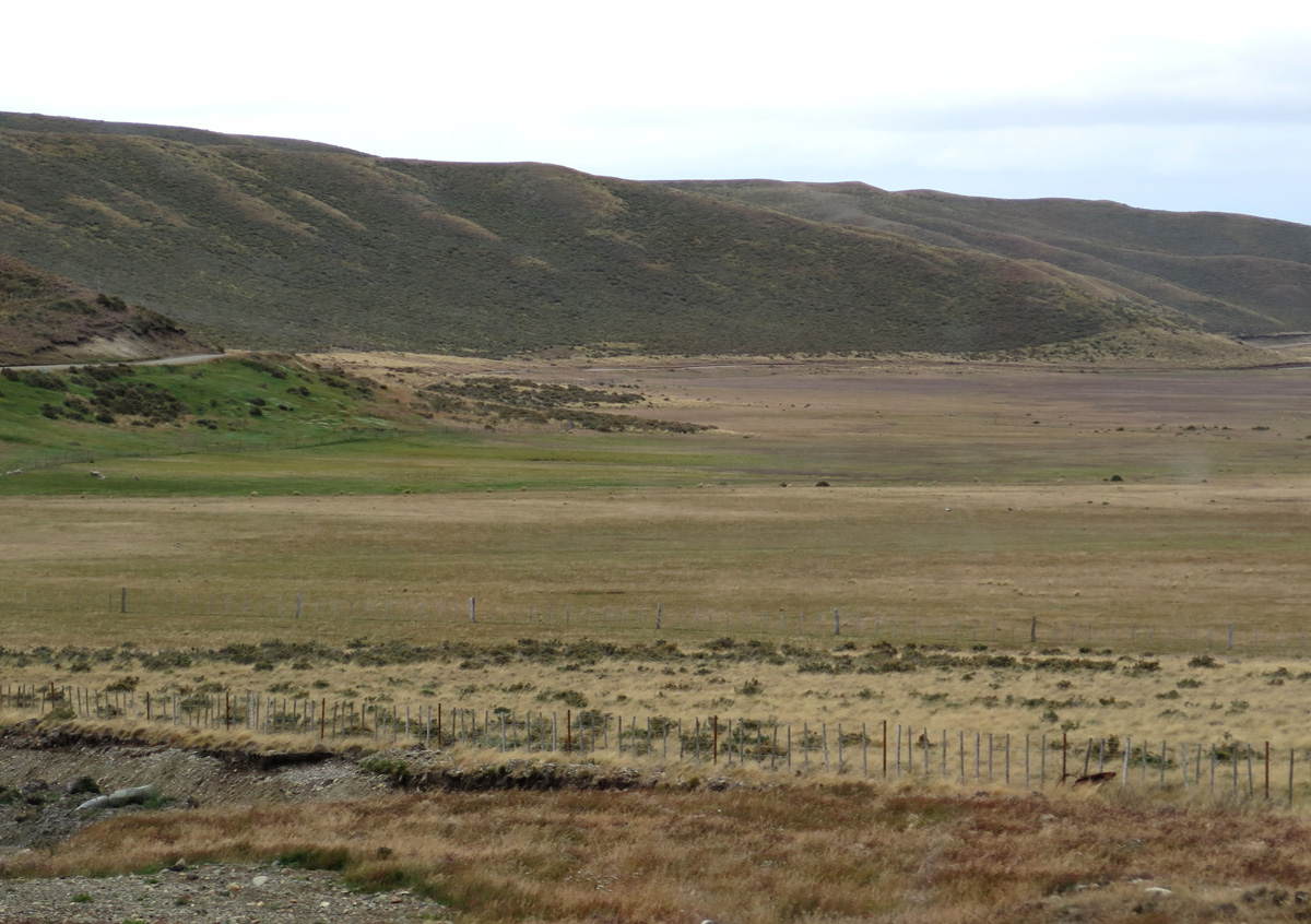 Ushaia to Punta Arenas, Northern Tierra del Fuego
