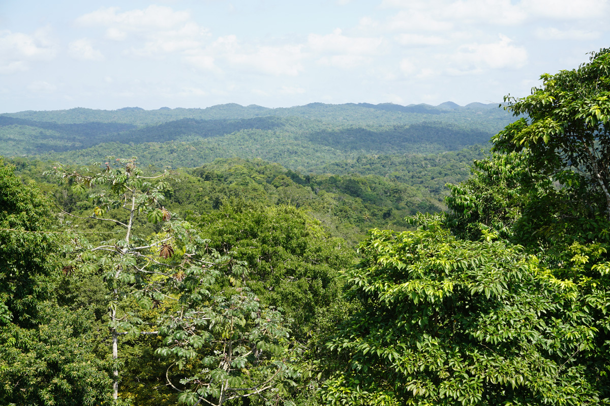 Caracol, View from Caana