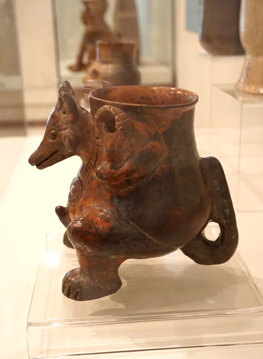 Anthropological Museum, Coati pot