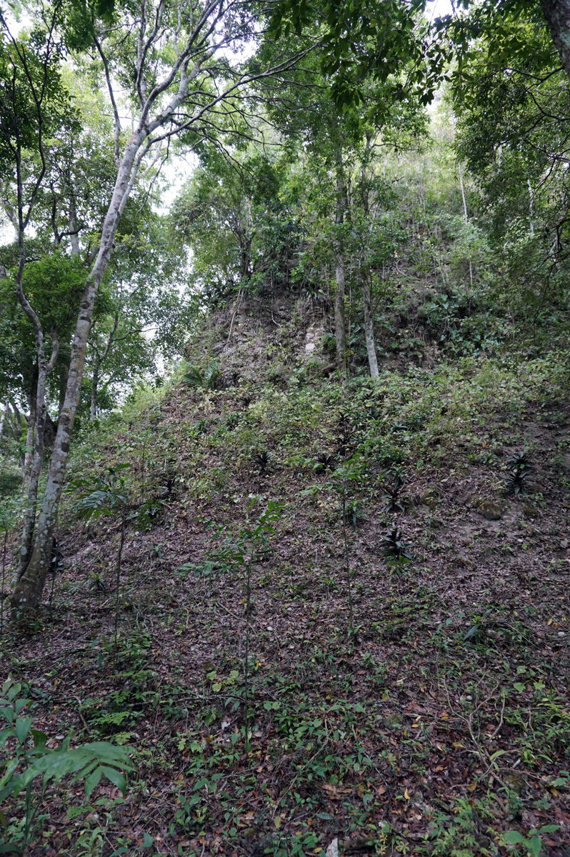 Tikal, Temple V: Unrestored side