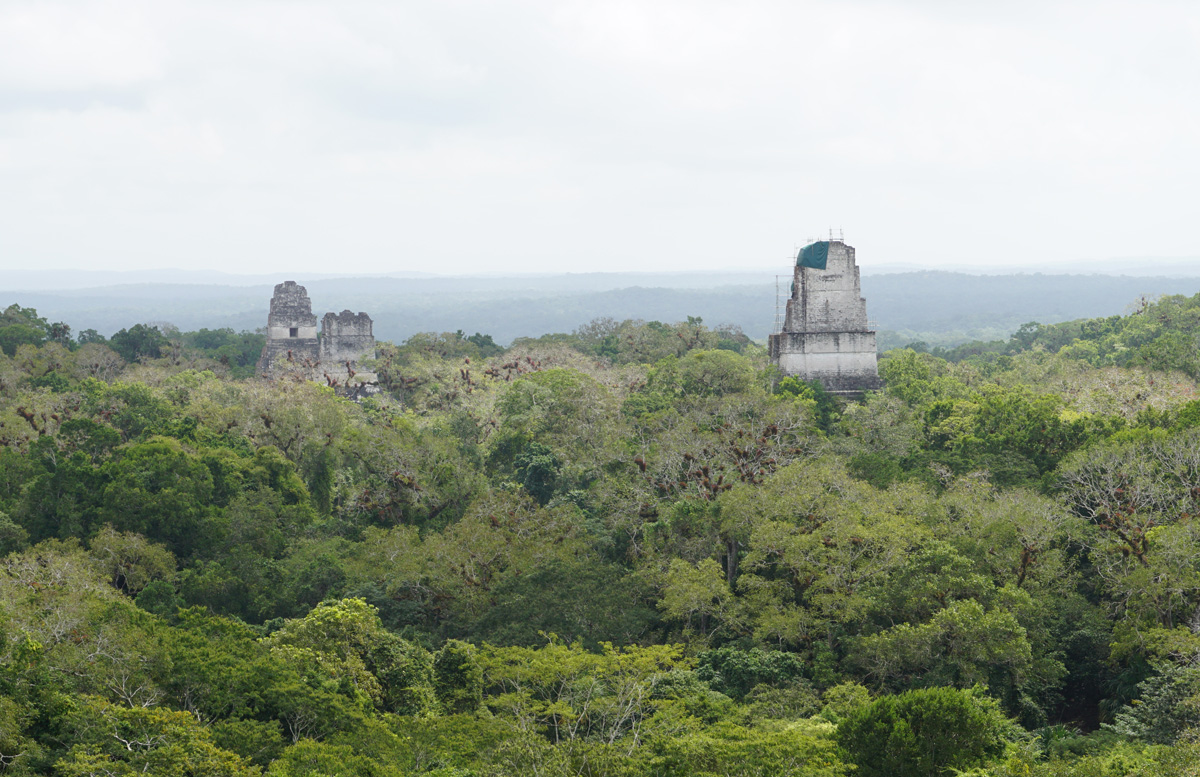 Tikal, View from Temple IV Temples, I, II & III (left to right)