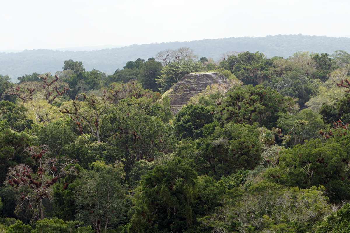 Tikal, View from Temple IV: Gran Piramide