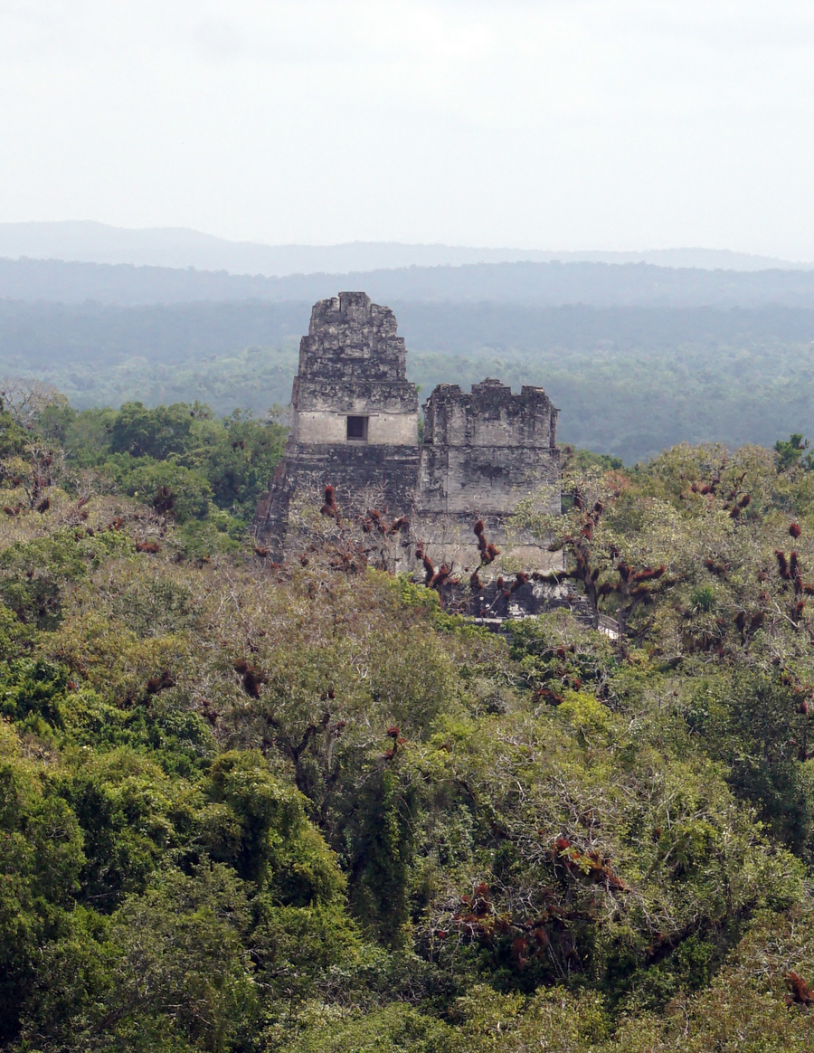 Tikal, View from Temple IV: Temples I & II