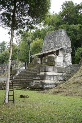 Plaza of the Seven Temples, Tikal, Guatemala 2016