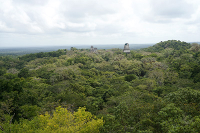 View from Temple IV, Tikal, Guatemala 2016