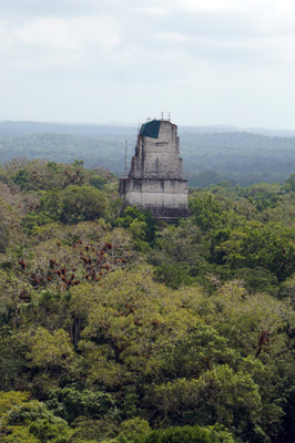 View from Temple IV: Temple III, Tikal, Guatemala 2016