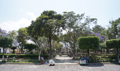 Parque Central, Antigua, Guatemala 2016