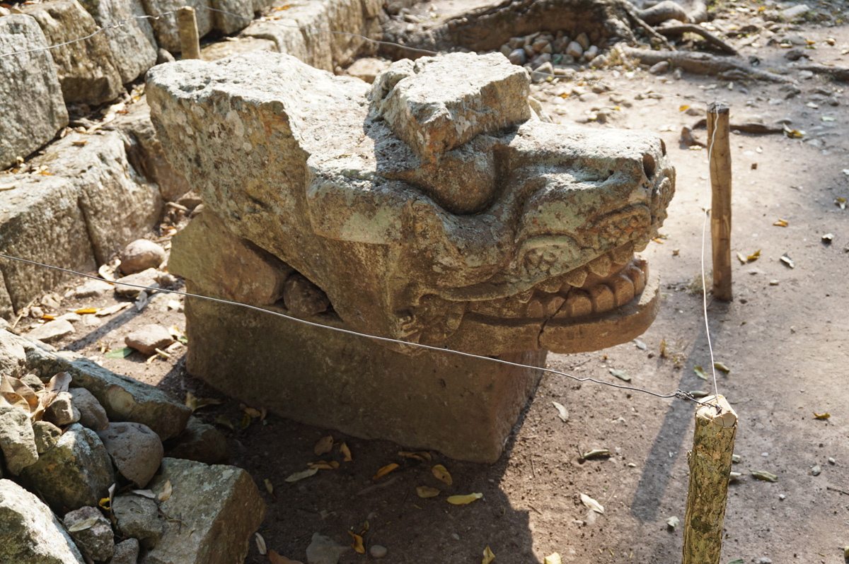 Copan