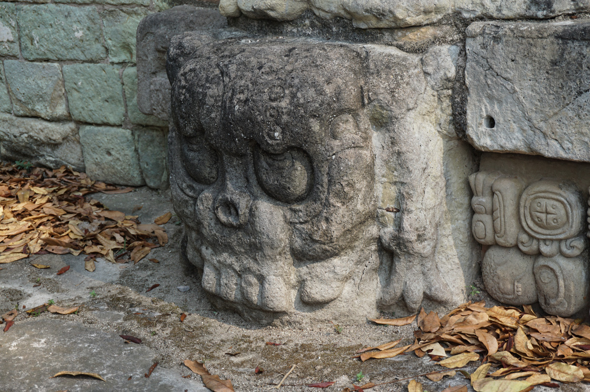 Copan