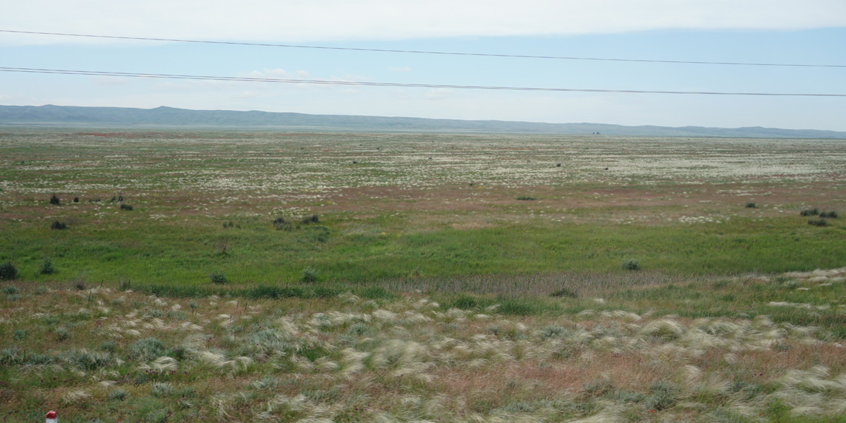 Almaty to Shymkent, 60 miles North of Bishkek
