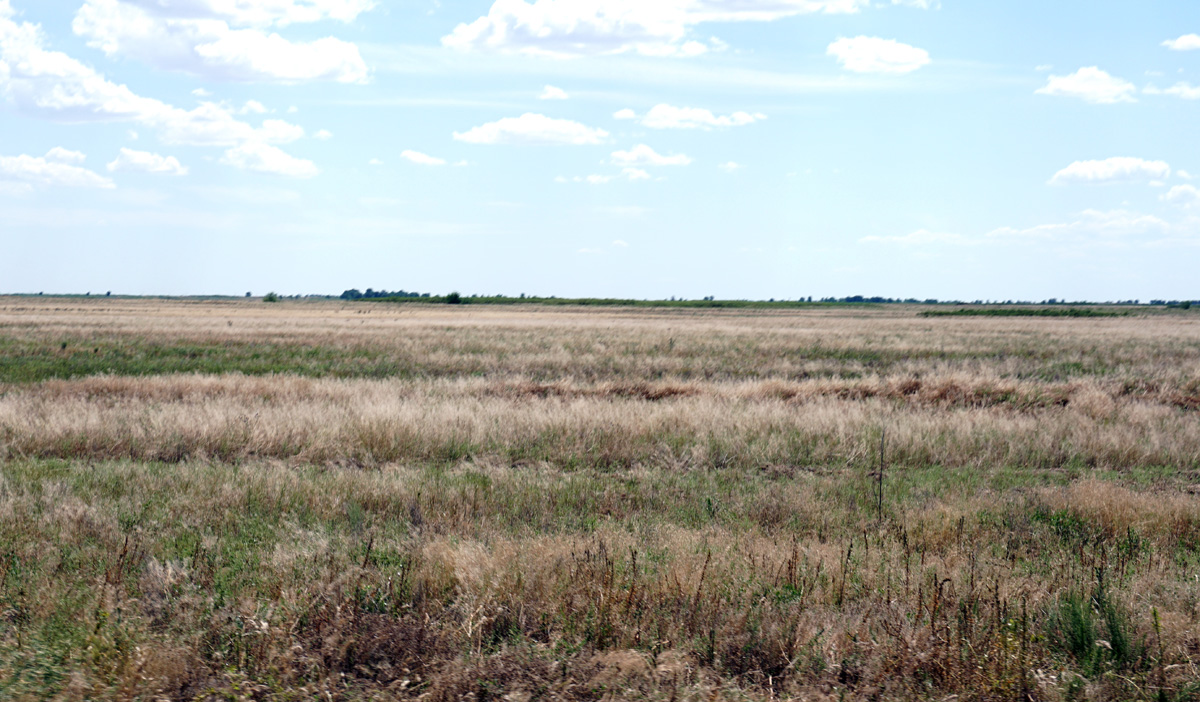 Shymkent, 48 miles NW of Shymkent