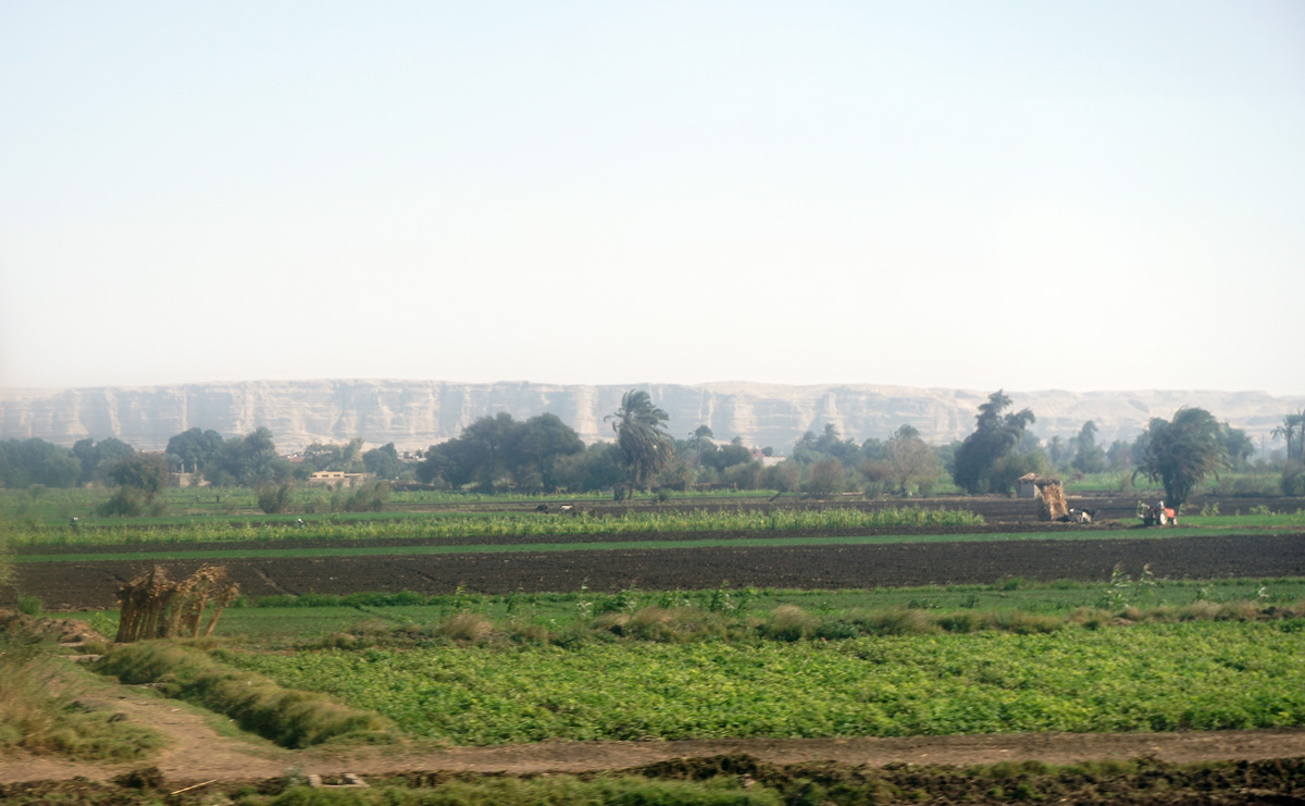 Cairo to Luxor, 128 miles S of Cairo