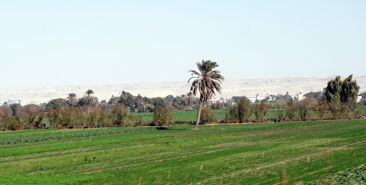 Cairo to Luxor, 142 miles NW of Abydos