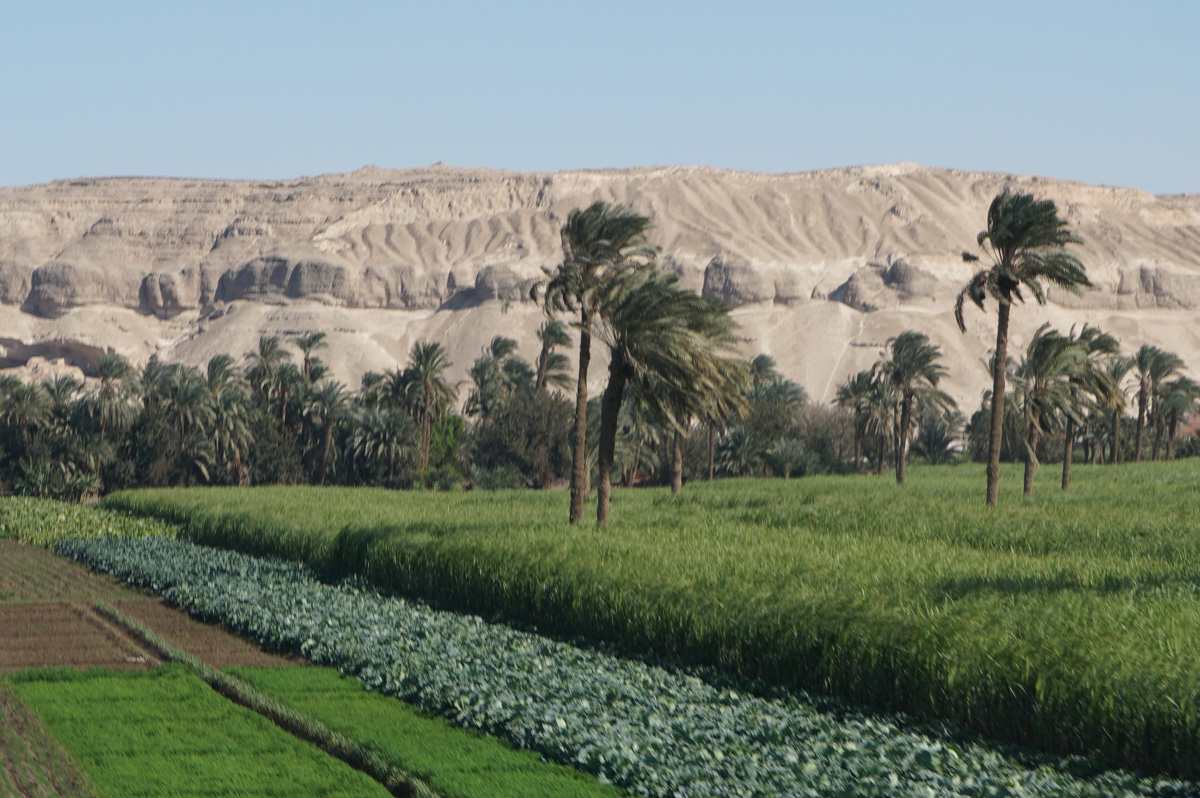 Cairo to Luxor, 123 miles NW of Abydos