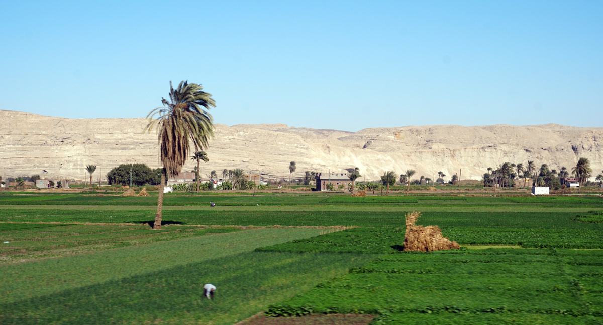 Cairo to Luxor, 106 miles NW of Abydos