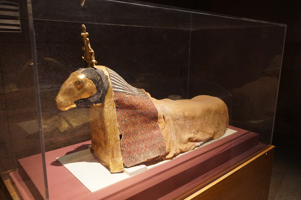 Nubian Museum, Ram Mummy, for Khunom