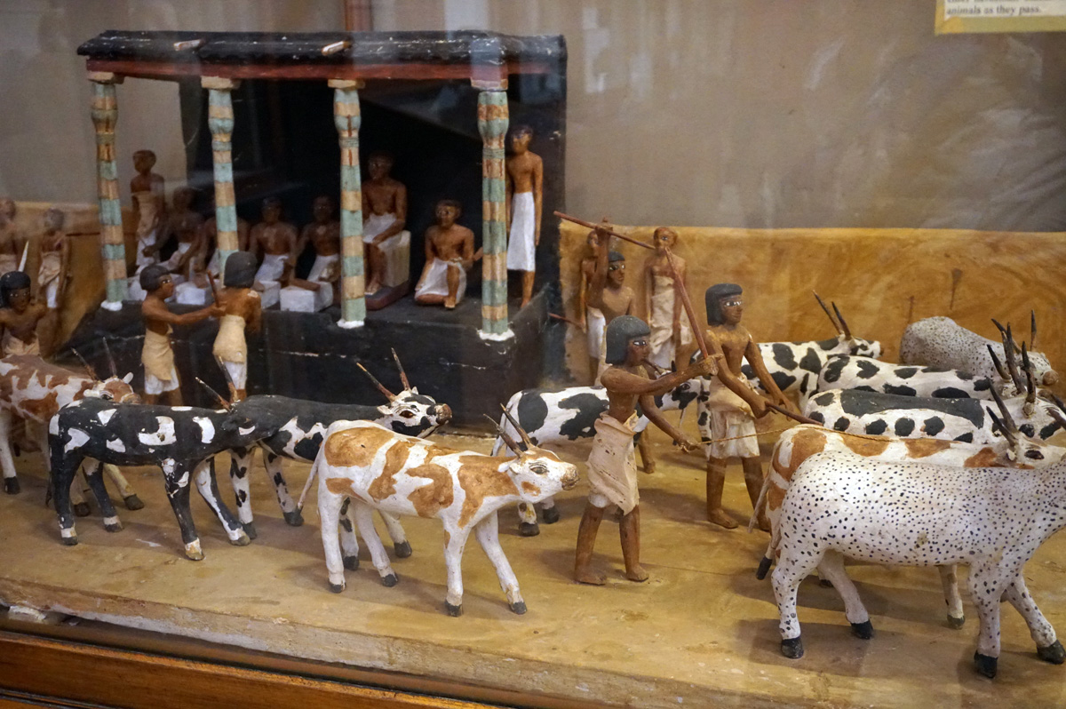 Egyptian Museum, Counting Cattle (~1800 BC)
