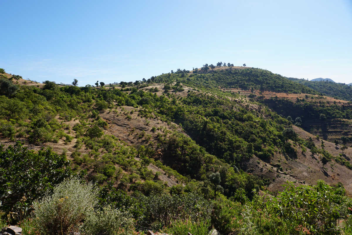 Bahir Dar, Ethiopian Highlands