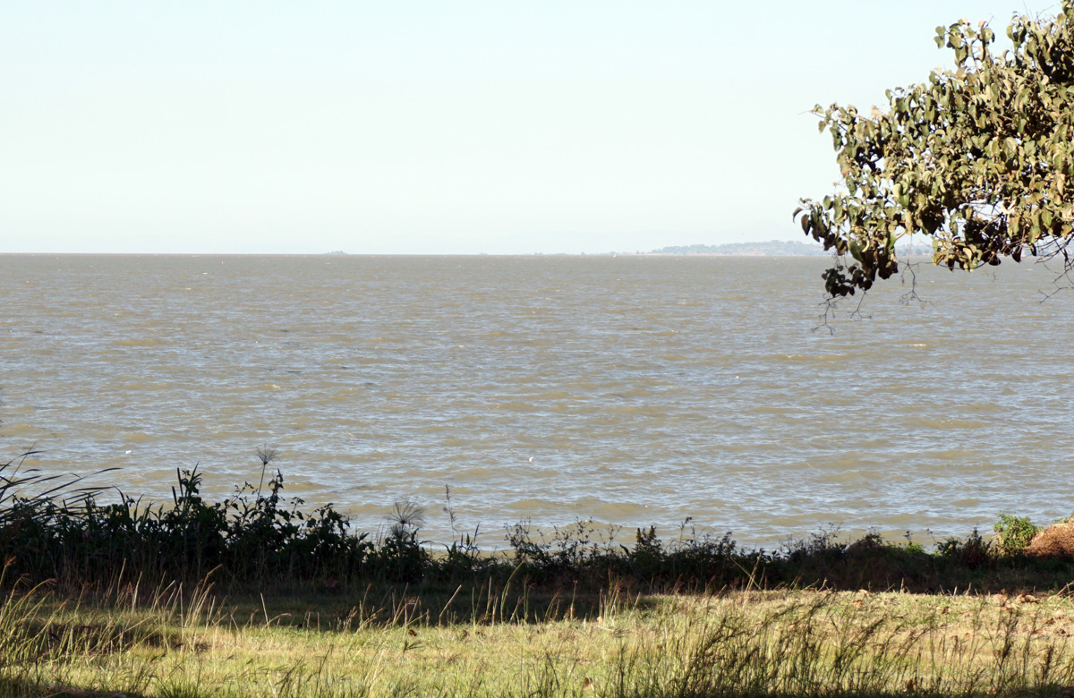 Bahir Dar, Lake Tana