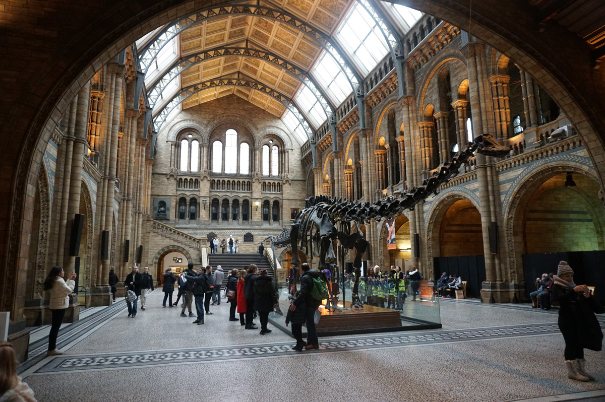Natural History Museum