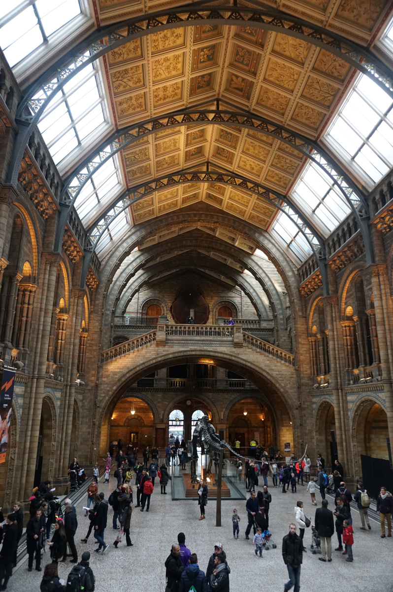 Natural History Museum
