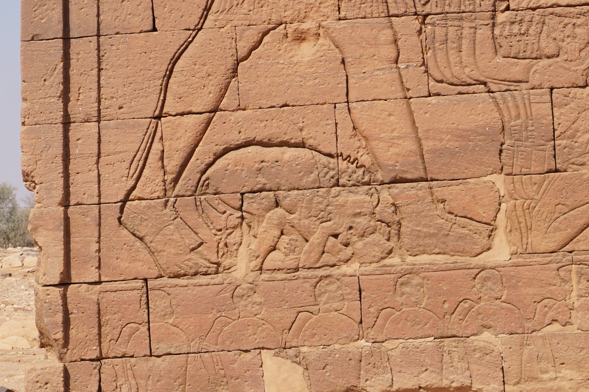 Naqa