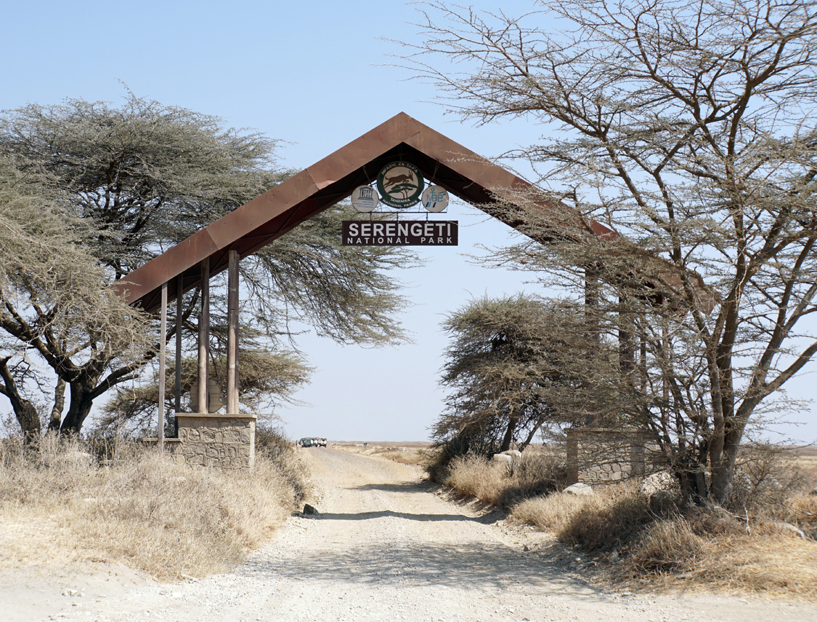 Land Safari