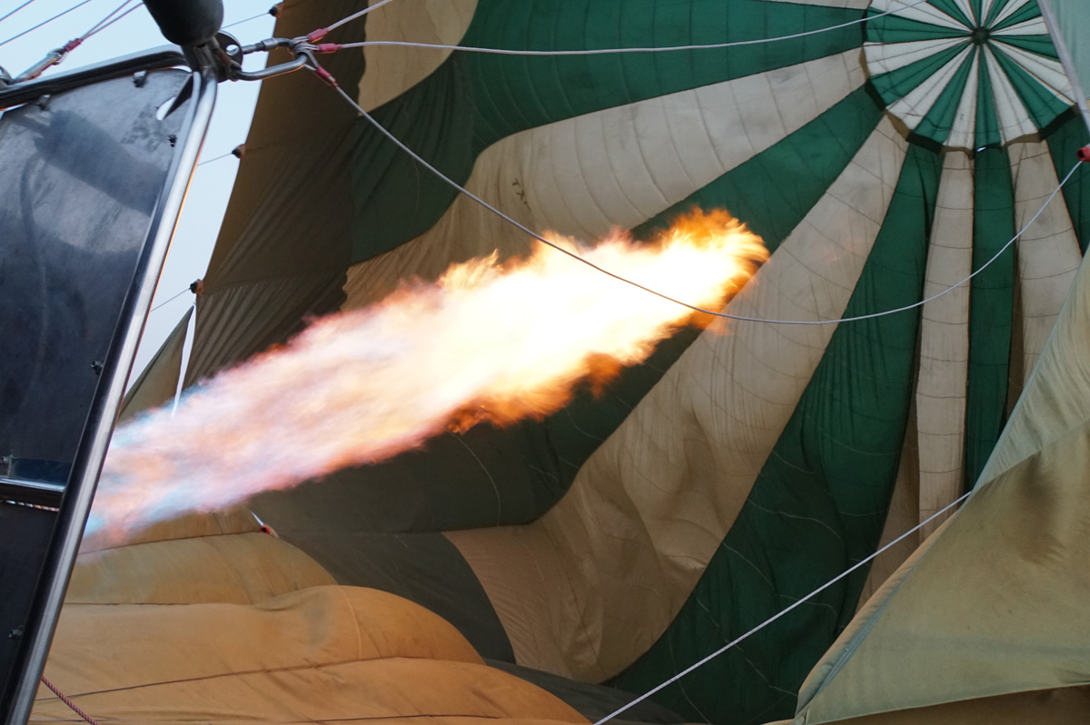 Balloon Safari