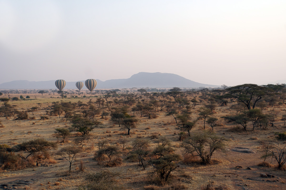Balloon Safari